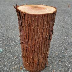 吉野杉スウェーデントーチ