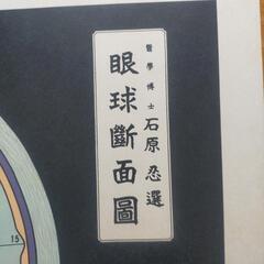 眼球断面図　アンティーク　ポスター　レア　店舗什器　レトロの画像