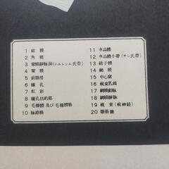 眼球断面図　アンティーク　ポスター　レア　店舗什器　レトロの画像