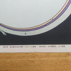 眼球断面図　アンティーク　ポスター　レア　店舗什器　レトロの画像