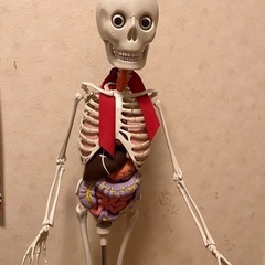 おしゃべりがいこつ
