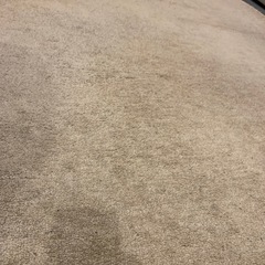 カーペットの画像