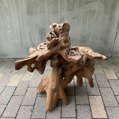 木の根っこ　置き物