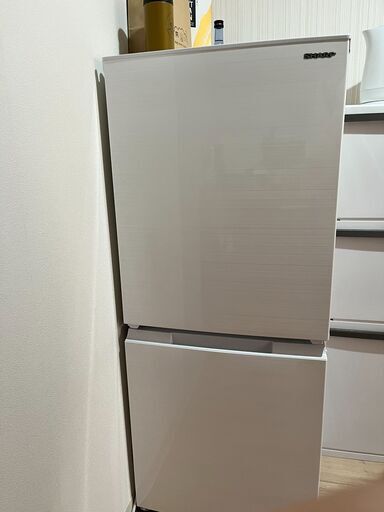 シャープ SHARP 冷蔵庫(幅49.5cm) 152L SJ-D15G-W