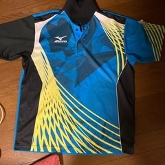 ニッタクとミズノの画像