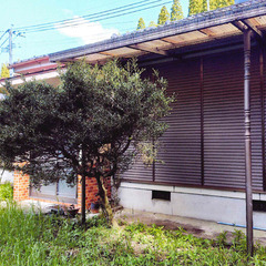 霧島市　平屋建てと山林をお譲りします　0円物件　S-24-90007_1 - 不動産売買（マンション/一戸建て）