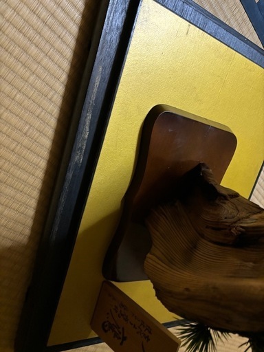 大鷹　剥製　縁起物