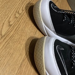 ズームフライト95の画像