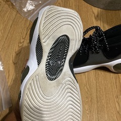 ズームフライト95の画像