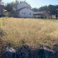 草刈りします