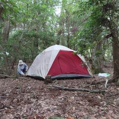 ☆☆テントを更に増設！自分達独自のキャンプ施設を造りましょう！m(_ _)m - 手伝って/助けて