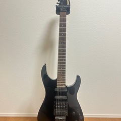 フェルナンデス ギター