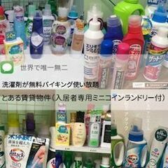 宇都宮🌸203|家具家電付賃貸といえば当物件｜司法修習生| 異動転勤｜単身赴任｜栃木医療センター｜新品セミダブルベット付｜短期も普通賃料と同賃料｜無料高速ネットWi-Fi付入居当日使用可｜オートロック｜宅配BOX有｜宇都宮裁判所・セブンイレブン徒歩3分｜洗濯剤無料使い放題・業務用乾燥有|507 - 賃貸（マンション/一戸建て）
