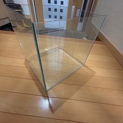 30cmキューブ水槽