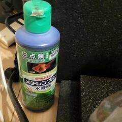 (ヒーター２つあり)メダカ等セットの画像
