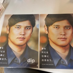 【新品未使用】大谷翔平クリアファイル⭐︎dip限定⭐︎非売品
