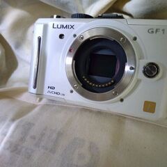 パナソニック LUMIX DMC-GF1 
