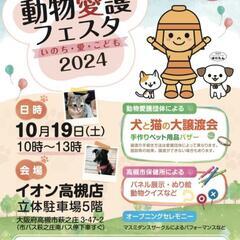 【保護猫の譲渡会】大阪府高槻市　10/19（土）