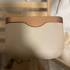 SONY ワイヤレスイヤホンケース&左耳