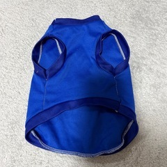 犬用お洋服の画像