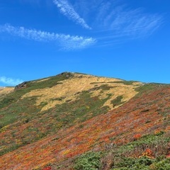 同世代の登山仲間募集😀【都内近郊発】 - 友達