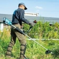 お庭の草刈り