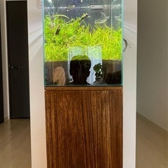 熱帯魚飼育セット