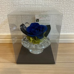 プリザーブドフラワー