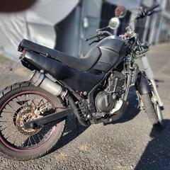年内取引最終値引き　アネーロkle250の画像