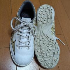 ミズノアルファ SELECT Jr AS　22センチの画像