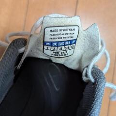 ミズノアルファ SELECT Jr AS　22センチの画像