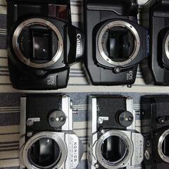 フィルムカメラまとめて その2の画像