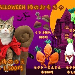 【高円寺】こまめさんの猫ちゃんのおもちゃ新作販売中！ハロウィンの...