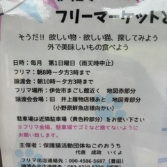 11月3日伊佐市でフリーマーケット出店者様募集