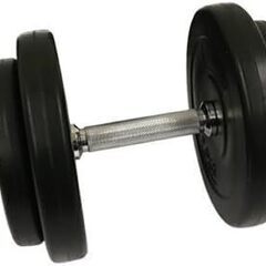 ダンベル 10kg   セメントダンベル 筋トレ トレーニング