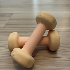 ダンベル1kg  2個セット