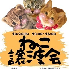 🐾10月20日　保護猫　譲渡会のお知らせ🐈‍⬛
