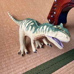 恐竜セット🦖
の画像