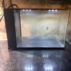 ジェックス　ラクテリア　水槽