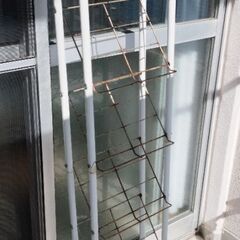 【無料】シューズラック