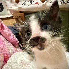 🍒【グッチくんと一緒に終の住処決まりました🙇‍♀️】【1１／１０...