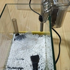 魚水槽　ポンプ