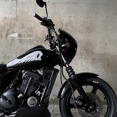 Kawasaki エリミネーター250se カスタム 88's　...