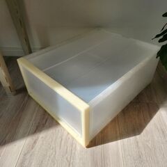 無印良品のポリプロピレン収納ケース