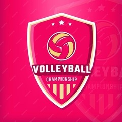 男女混合バレーボールチーム立ち上げメンバー募集中❗️💪　6人制チ...