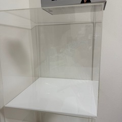 ショーケース
の画像