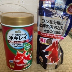 金魚のエサ