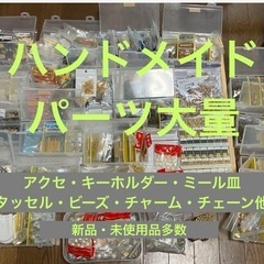 ハンドメイドパーツ 大量 アクセサリー アクセ レジン
