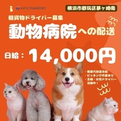 軽貨物ドライバー　動物病院への医薬品配送の画像