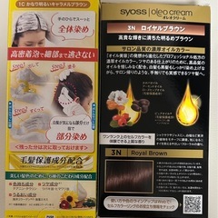 ヘアカラー白髪用 2箱　の画像